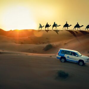 Sandboarding & Sunset Safari